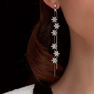 Cold wind/style/long/fringed earrings